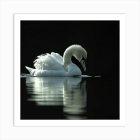 Pretty Swan Art Print