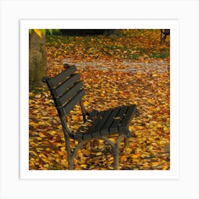 Autumn Leaves On A Bench Art Print