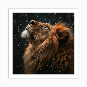 Lion In The Snow 1 Art Print