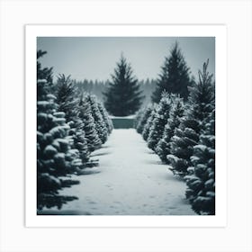 Christmas Trees In The Snow Art Print