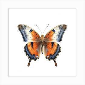 Butterfly 25 Art Print