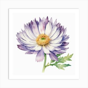 Watercolor Daisy Art Print