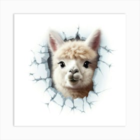 Alpaca Art Print