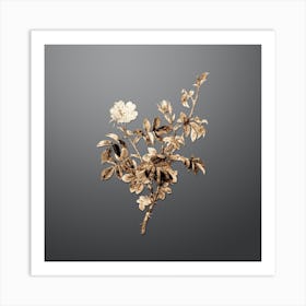 Gold Botanical White Downy Rose on Soft Gray n.0179 Art Print