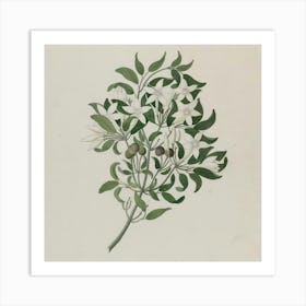 Lily Of The Valley 4 Art Print