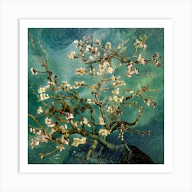 Blossoming Almond Tree 2 Art Print