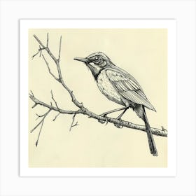 Bird On A Branch 3 Art Print