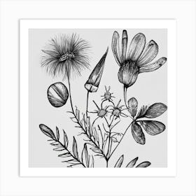 Wildflowers 1 Art Print