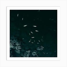 Fishes In The Sea 4 Art Print