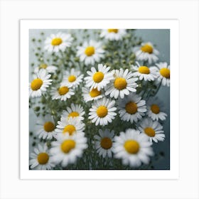 Daisies Art Print