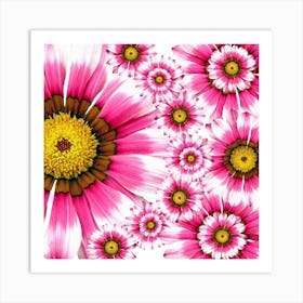 Pink Daisies 1 Art Print