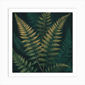 Fern Leaves 4 Art Print