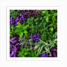 Fresh Herbs Art Print