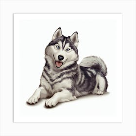 Siberian Husky Art Print