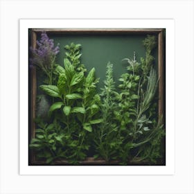 Fresh Herbs In A Wooden Frame 5 Art Print