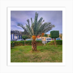 Palm Tree Art Print