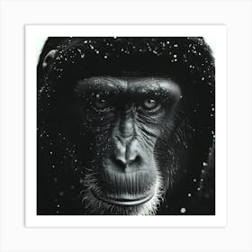 Chimpanzee Closeup Stippling Style Art Print