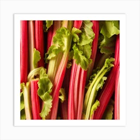 Rhubarb 40 Art Print