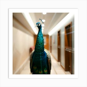 Bright Lens Flare, Blurred Bokeh Effect Peacock Hallway Wall Poster Affiche