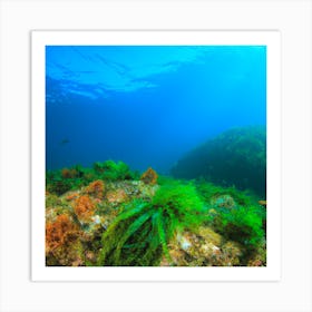 Aegean Sea Art Print