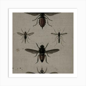 Flies Art Print