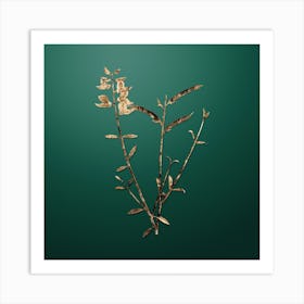 Gold Botanical Spanish Broom on Dark Spring Green Art Print