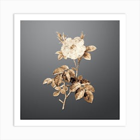 Gold Botanical White Rose on Soft Gray n.2732 Art Print