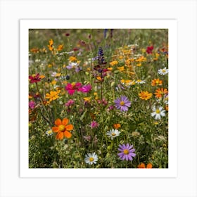 Wildflowers In The Meadow Paintings Art Print Art Print