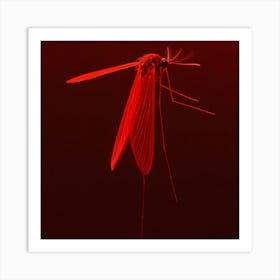 Mosquito - Mosquito Red Art Print