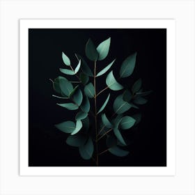 Eucalyptus Leaves On Black Background 1 Art Print