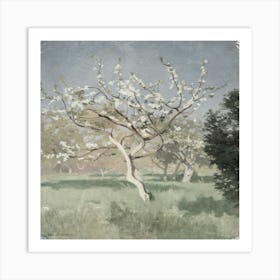 Blossoming Apple Tree Art Print