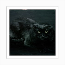 Black Cat Square Art Print