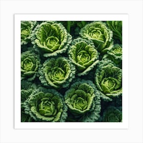 Cabbages 2 Art Print