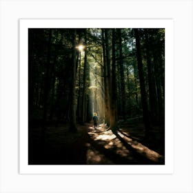 Person Walking In The Forest Art Print