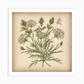 Botanical Illustration flower plants painting art print Art Print