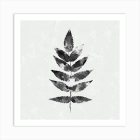 Black White Botanical Watercolour Leave Square Art Print