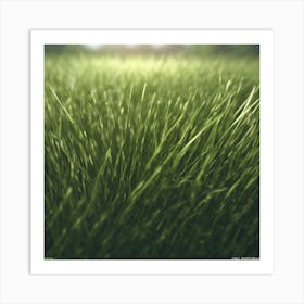 Grassy Field 2 Art Print