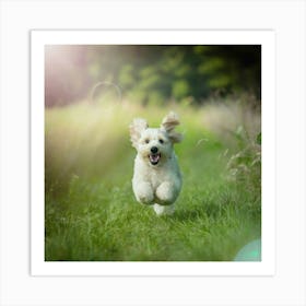 Dog Running In The Grass 1 Art Print