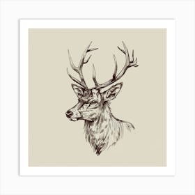 Deer Head Art Print