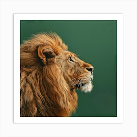 Animal Lion In The Green Room Square Art Print