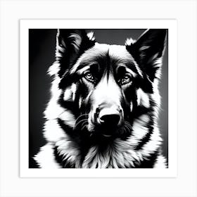 Studio head and shoulders portrait in black and white of a cute Alsatian dog Art Print