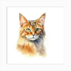 Somali Cat Portrait 2 Art Print