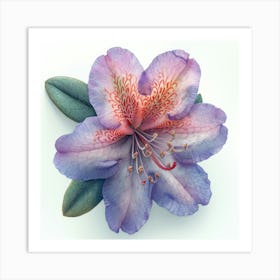 Rhododendron 4 Art Print