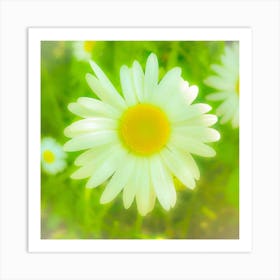 Daydream Daisy Art Print