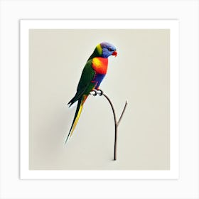 Lorikeet 1 Art Print