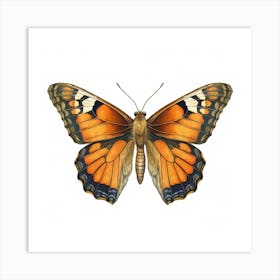 Butterfly 5 Art Print