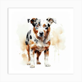 Australian Shepherd 1 Art Print