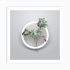 Vintage Lingonberry Minimalist Flower Geometric Circle on Soft Gray n.0484 Art Print