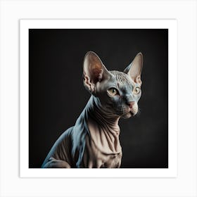 Sphynx Cat Art Print