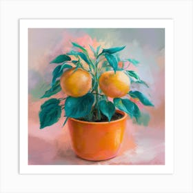 Oranges In A Pot 20 Art Print